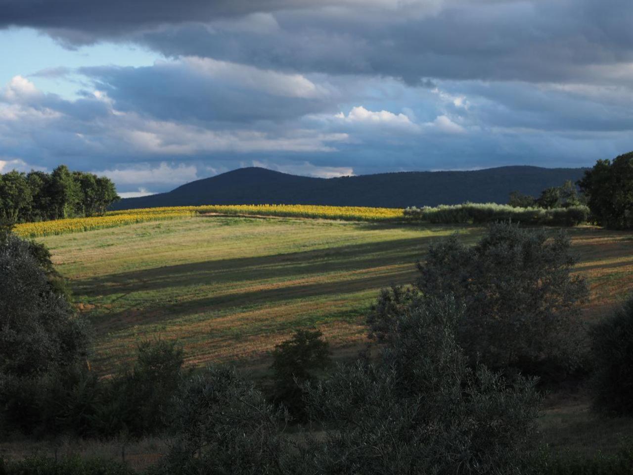 Dolce Farnetta En-suite Spa & Yoga Bed & Breakfast Montecastrilli