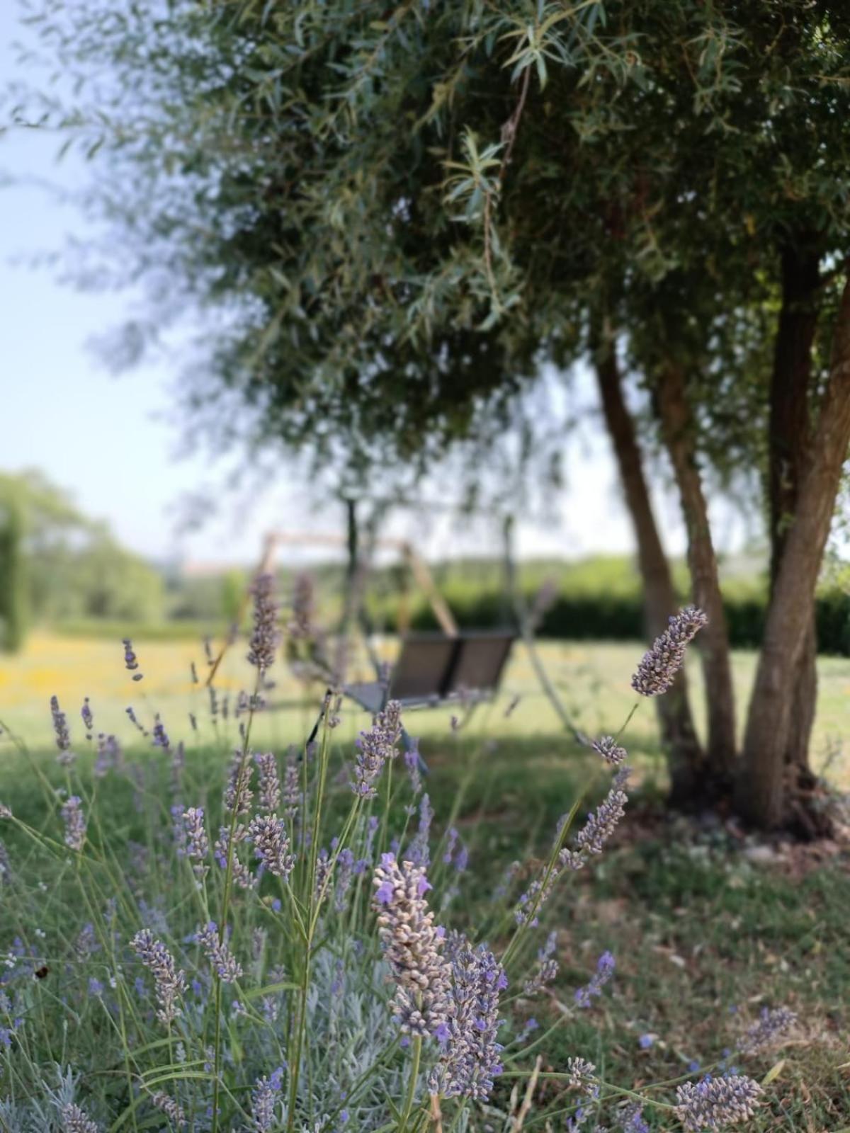 Dolce Farnetta En-suite Spa & Yoga Montecastrilli